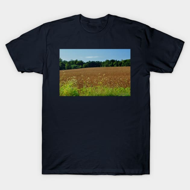 Rural Views 10 T-Shirt by michaelasamples